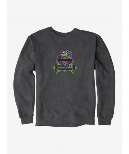 Teenage Mutant Ninja Turtles Donatello Graphic Mens Hoodie