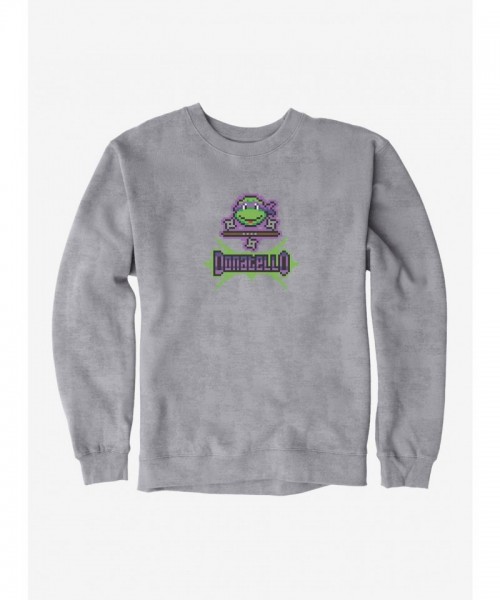 Teenage Mutant Ninja Turtles Donatello Graphic Mens Hoodie