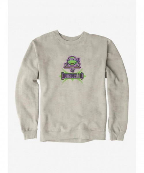 Teenage Mutant Ninja Turtles Donatello Graphic Mens Hoodie