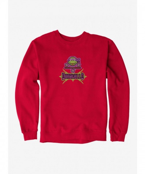 Teenage Mutant Ninja Turtles Donatello Graphic Mens Hoodie