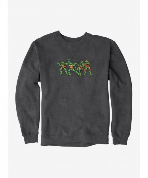 Teenage Mutant Ninja Turtles Humorous Design Men's Heavyweight Sweatshirt