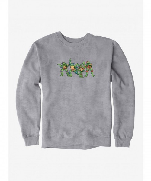 Teenage Mutant Ninja Turtles Humorous Design Men's Heavyweight Sweatshirt