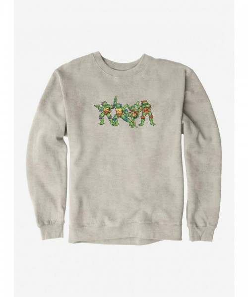 Teenage Mutant Ninja Turtles Humorous Design Men's Heavyweight Sweatshirt
