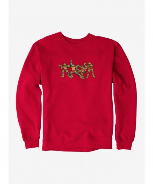 Teenage Mutant Ninja Turtles Humorous Design Men's Heavyweight Sweatshirt