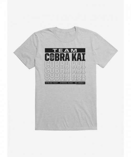 Cobra Kai Season 4 Team Motto Men's Cotton T-Shirt