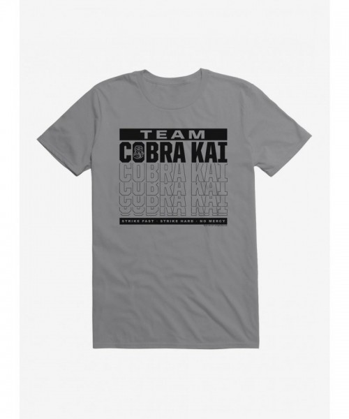 Cobra Kai Season 4 Team Motto Men's Cotton T-Shirt