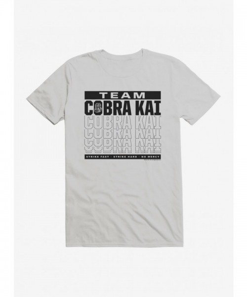 Cobra Kai Season 4 Team Motto Men's Cotton T-Shirt