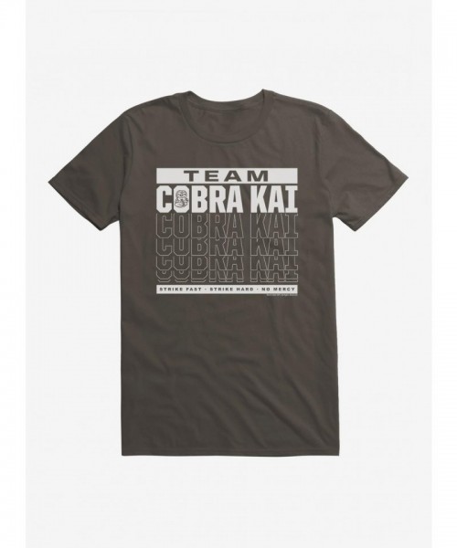 Cobra Kai Season 4 Team Motto Men's Cotton T-Shirt
