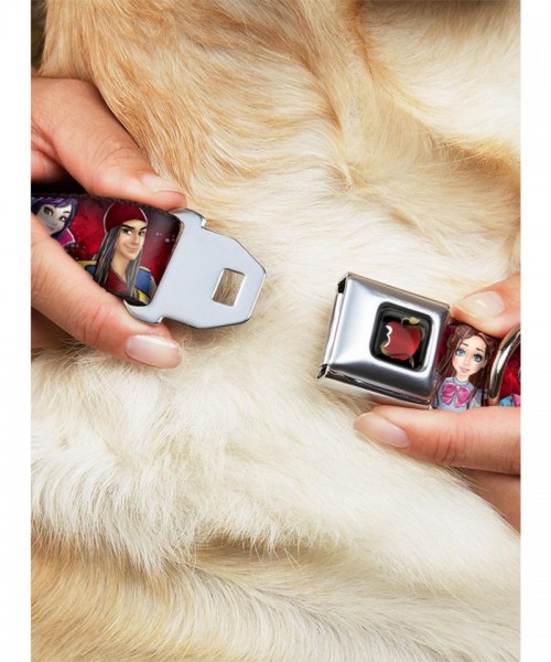 Disney Descendants Group Pose Seatbelt Dog Collar