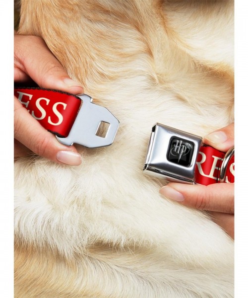 Harry Potter Inspired Seatbelt Dog Collar by Buckle-Down