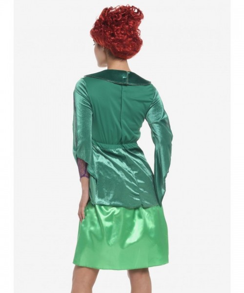 Disney Hocus Pocus Winifred Costume for Women