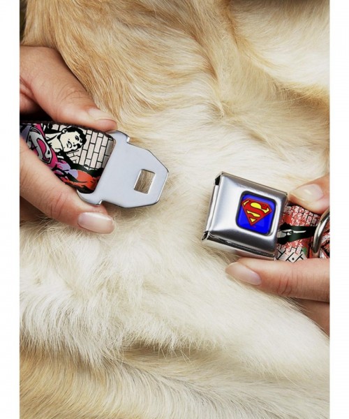 Superman Justice League Flying Bricks Seatbelt Dog Collar in Colorful Design